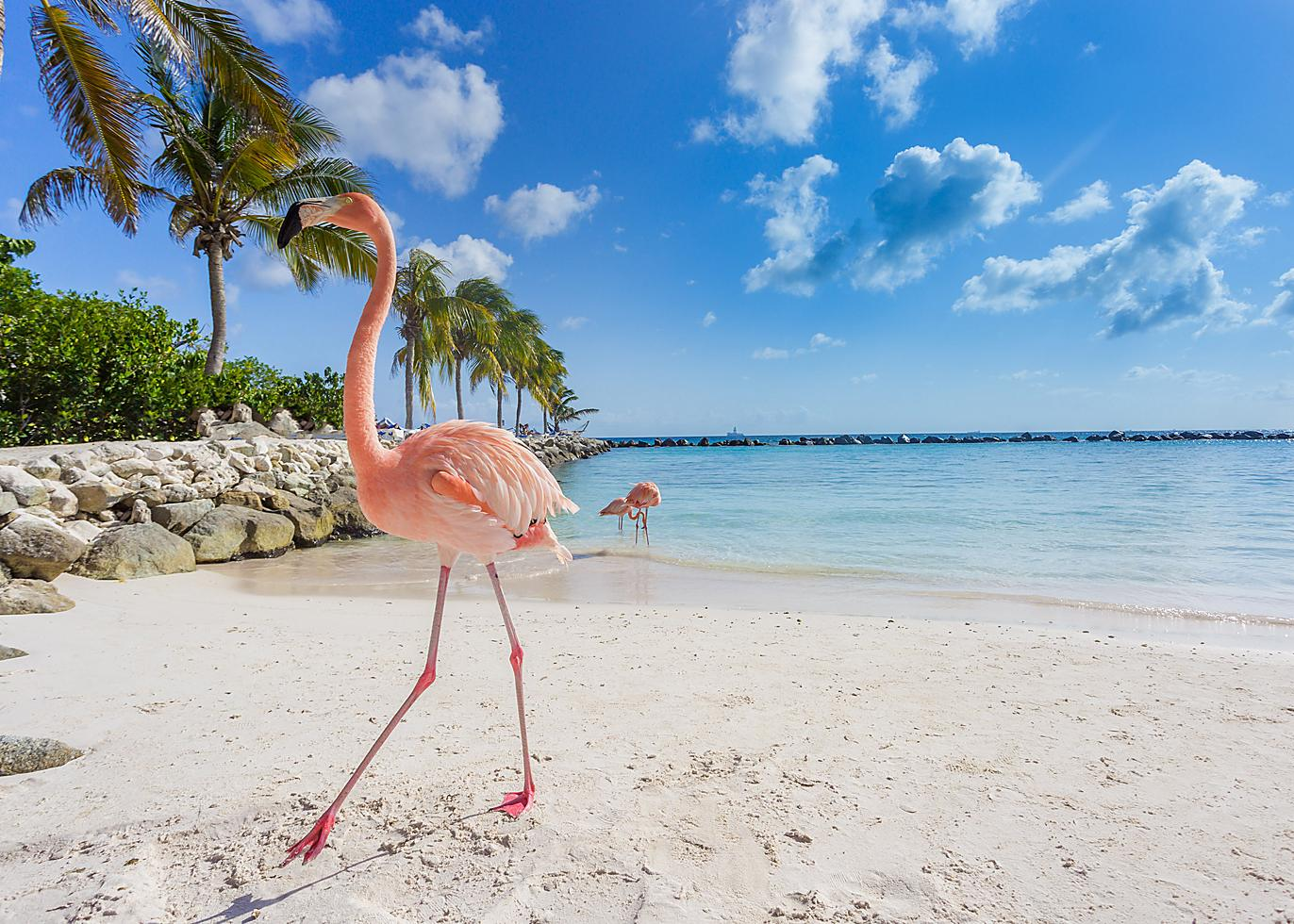 Aruba